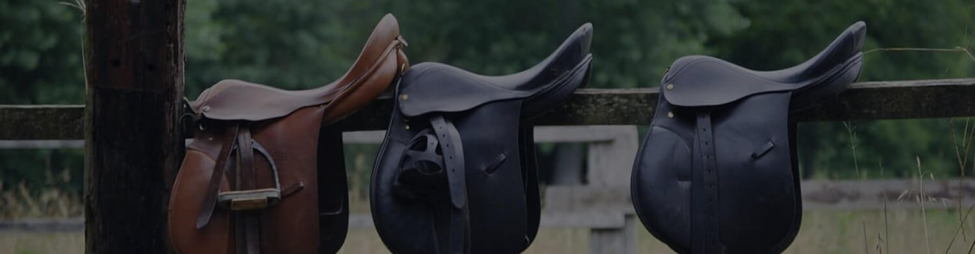 banner2